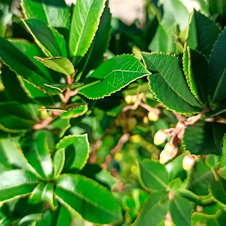 Refugio De Alburitel