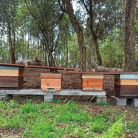 Casa de Férias Refugio De