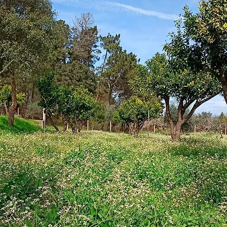 Nyaraló Refugio De *