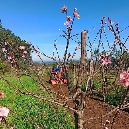 Refugio De Alburitel