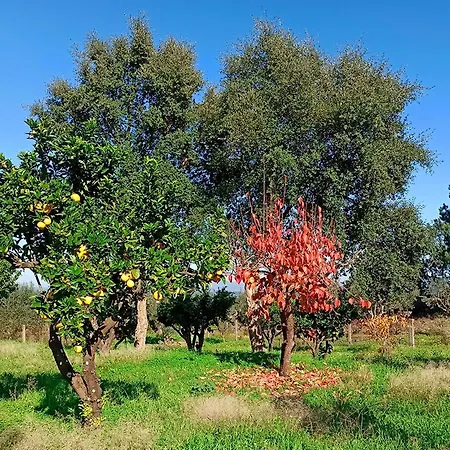 Refugio De Alburitel