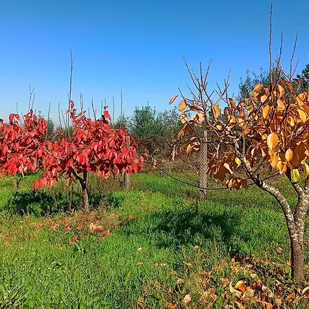 Refugio De Alburitel
