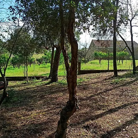 Refugio De Alburitel