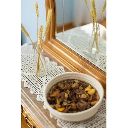 Tatil Evi Refugio De