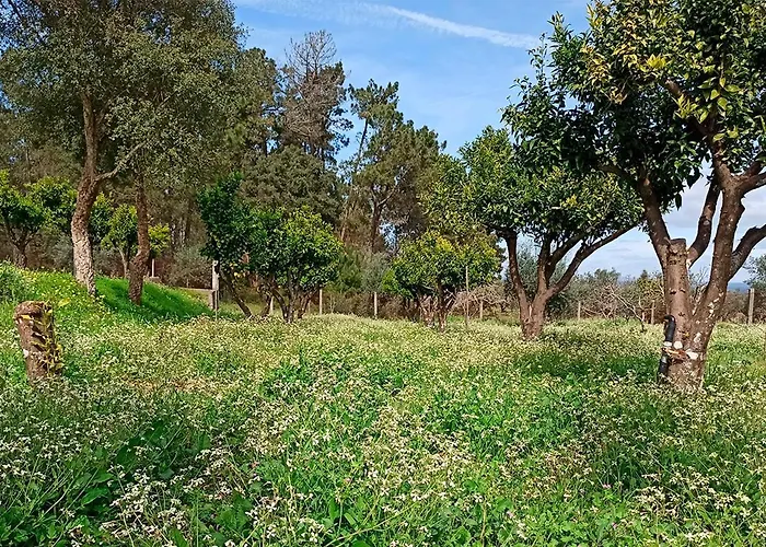 بيت للعطل Refugio De *