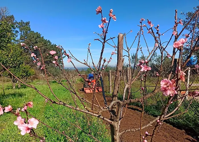 Refugio De Alburitel