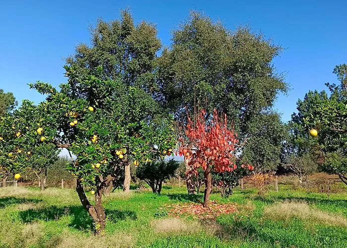 Refugio De Alburitel