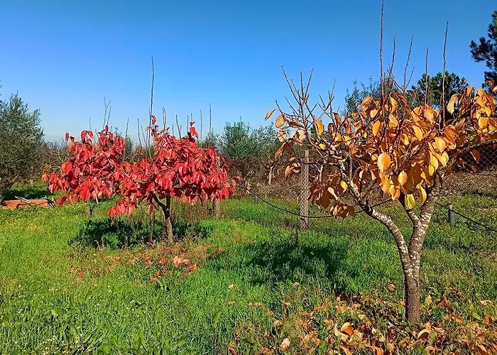Refugio De Alburitel