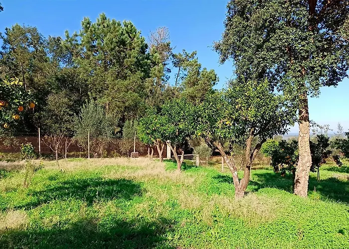 Holiday home Refugio De