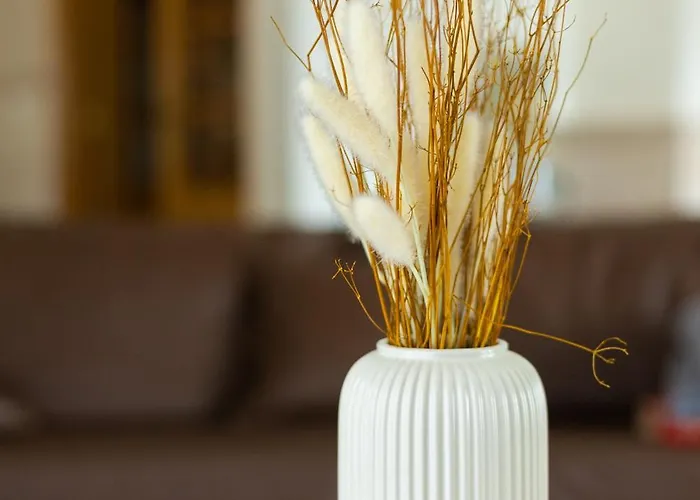 Refugio De Alburitel